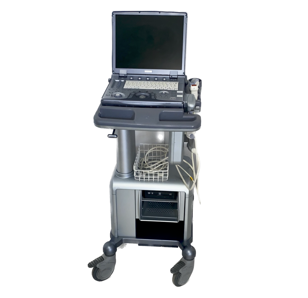 GE Logiq-e Portable Ultrasound (2 Probe)